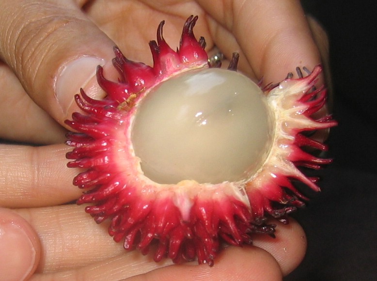 rambutan